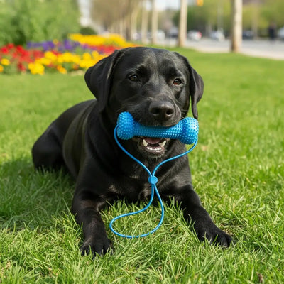 Dual-Action Canine Dental Prop Reusable Dental Chews For Dogs Interactive Dog Dental Chew Toy For Teeth Cleaning Brushing