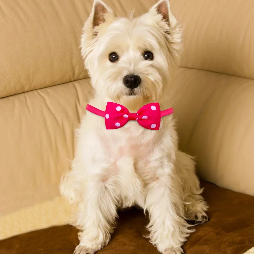 10pcs Pet Accessories Small Dog Bow Tie For Puppy Dog Bowties Collar Adjustable Girl Dogs Bowtie For Cat Dog Collar Pet Supplier