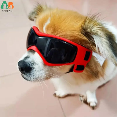 ATUBAN Dog Goggles for Small Breed Dog Sunglasses Dog UV Sunglasses Windproof Soft Frame Adjustable Straps for Small Dogs Puppy