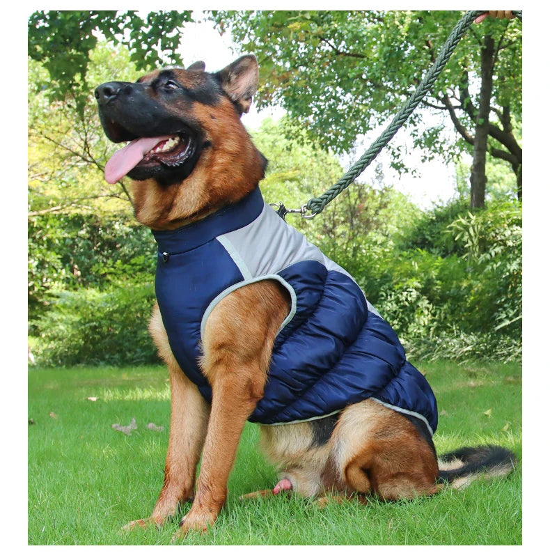 Winter Clothes for Dogs Windproof Cotton Clothing for Pets Rainproof Large Dogs Coat Reflective Overall Dog Leash Pet Clothing
