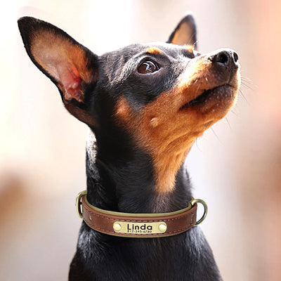 Custom PU Leather Dog Collar Free Engraving Dog Collars Adjustable Pet Pitbull Necklace Soft Padded for Small Medium Large Dogs