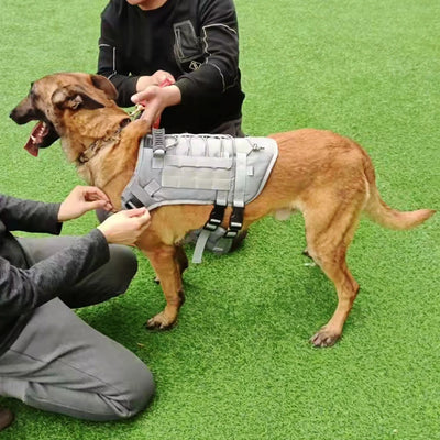 Custom Dog Harness Personalized Tactical Vest DIY Name Pet Harness for Medium Large Big Dog Chest Strap