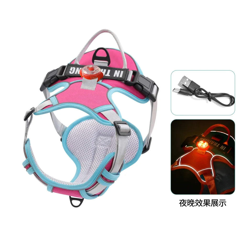 USB charged light Dog Harness Personalized dog strap vest Breathable adjustable pet strap suitable for small to medium sized dog