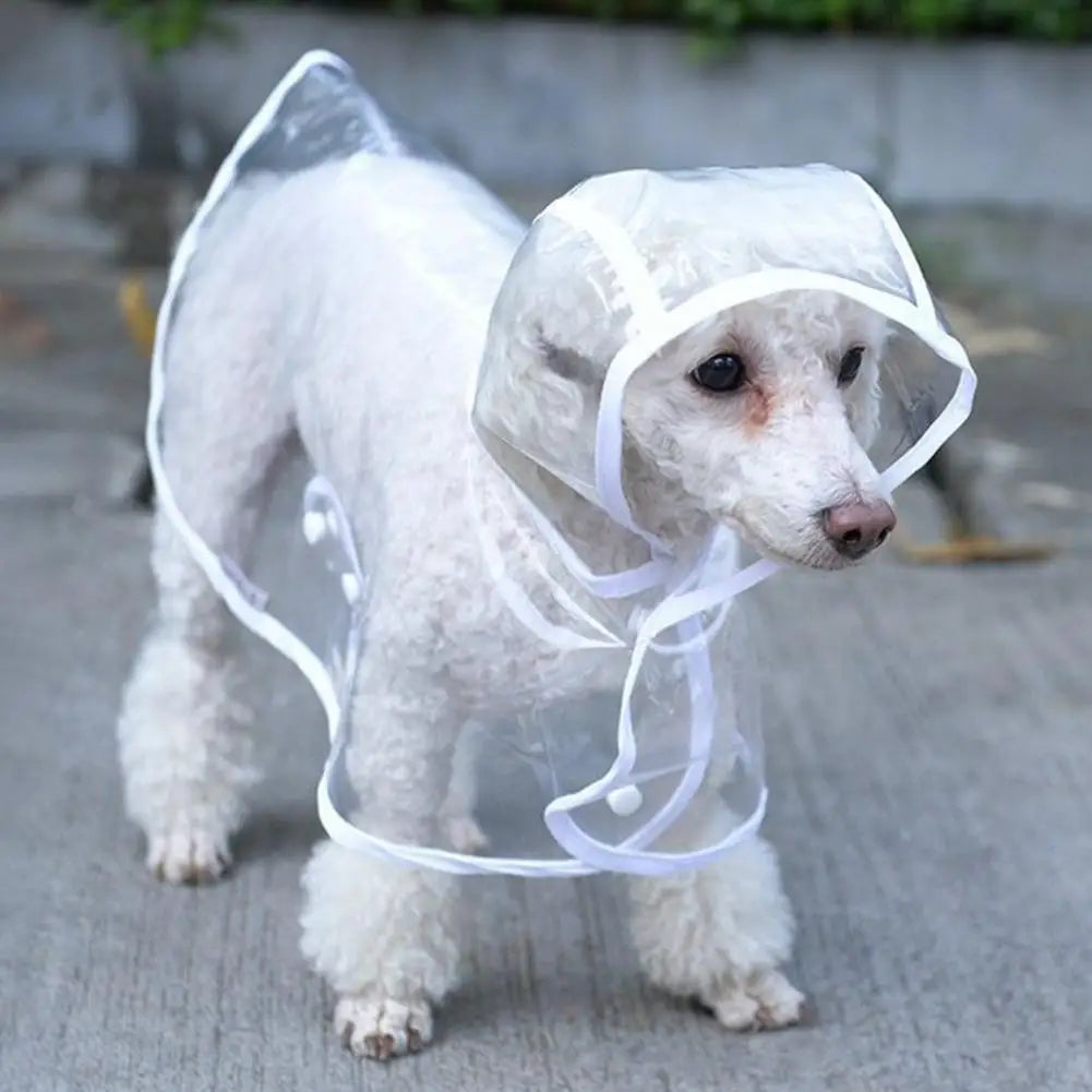 Pet Raincoat Dog Raincoat Transparent Snap Button Hooded Windproof Soft Outdoor Dog Rainwear Rain Cape Dog Supplies