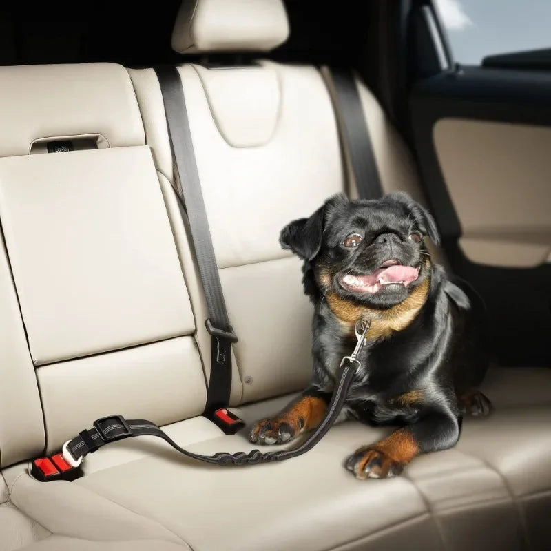Elastic Nylon Dog Seat Belt for Small Large Dogs Adjustable Reflective Durable Lead Puppy Travel Car Safety Rope Dog Harness