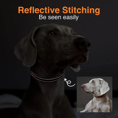 Adjustable Mesh Padded Pet Dog Collar Custom ID Engraving Reflective Nylon Dog Collar Durable Heavy Duty for All Breed All Pug