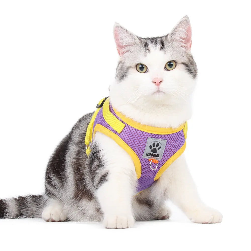 Puppy Dog Harness Leash Rope Set Breathable Summer Mesh Cat Dogs Harness Vest Reflective Pet Cat Chest Straps Chihuahua Yorkies