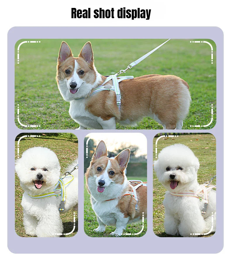 Dog Harness Collar Accessories Small Pet Neck Belt Lead Leash for Small  Dogs Collars  Breast Strap Puppy Adjustable Walking