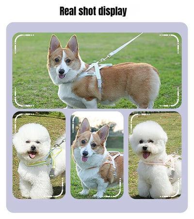 Dog Harness Collar Accessories Small Pet Neck Belt Lead Leash for Small  Dogs Collars  Breast Strap Puppy Adjustable Walking
