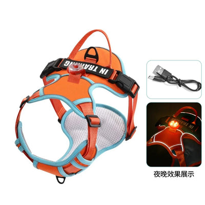 USB charged light Dog Harness Personalized dog strap vest Breathable adjustable pet strap suitable for small to medium sized dog