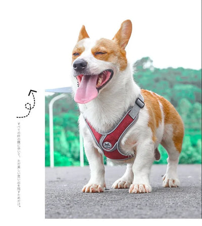 Dog Harness Adjustable Pet Harness Vest For Small Large Dog Cat Reflective Mesh Puppy Cat Chest Strap Dog Accessories