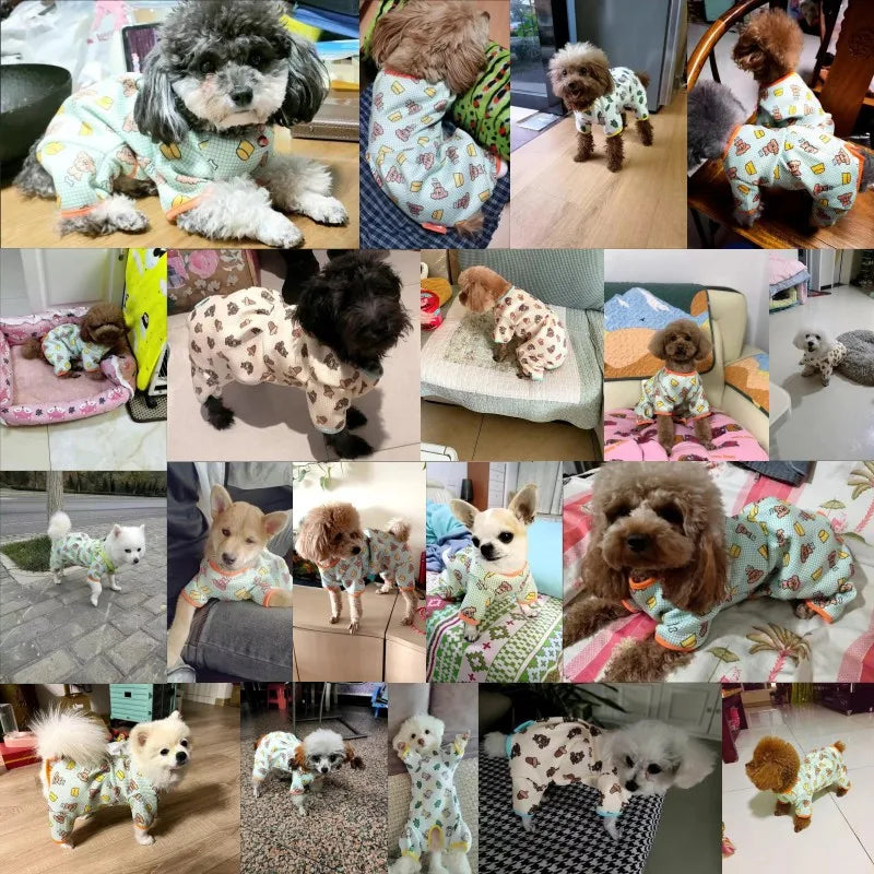 Fashion Pet Dog Clothes for Small Dogs Spring Dog Jumpsuit Cartoon Print Puppy Pajamas Cute Cat Clothing Pet Chihuahua Clothes PawPrint Treasures