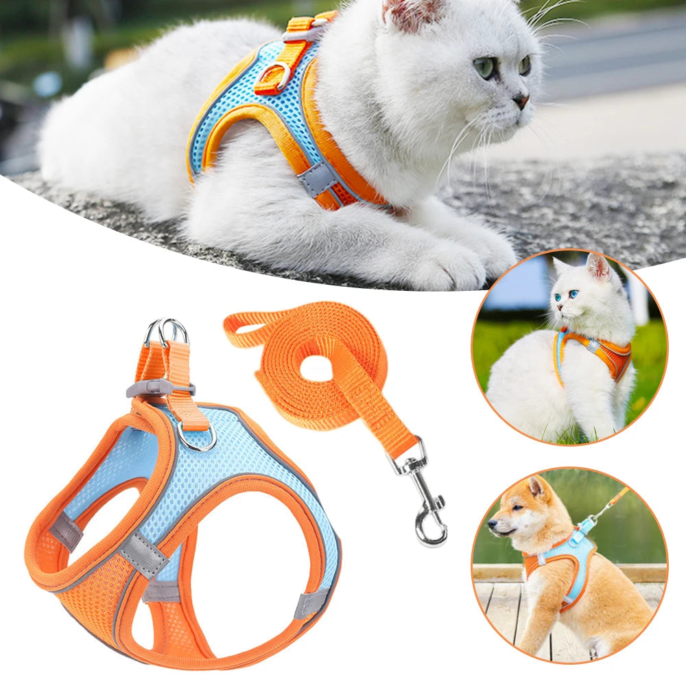 Cat Dog Harness Vest Chest Rope Set Reflective Breathable Adjustable Pet Harness for Small Medium Dogs Outdoor Walking PawPrint Treasures