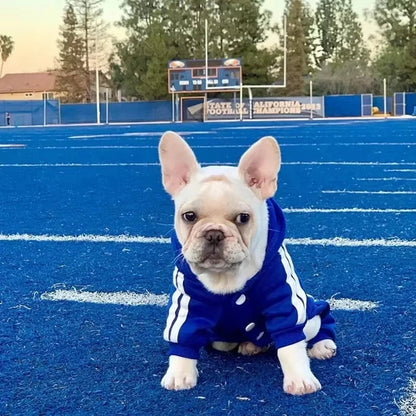 Pet Clothes Puppy Dog Pet Jumpsuit French Bulldog Chihuahua Pug Pets Dogs Clothing for Small Medium Dogs Puppy Outfit PawPrint Treasures