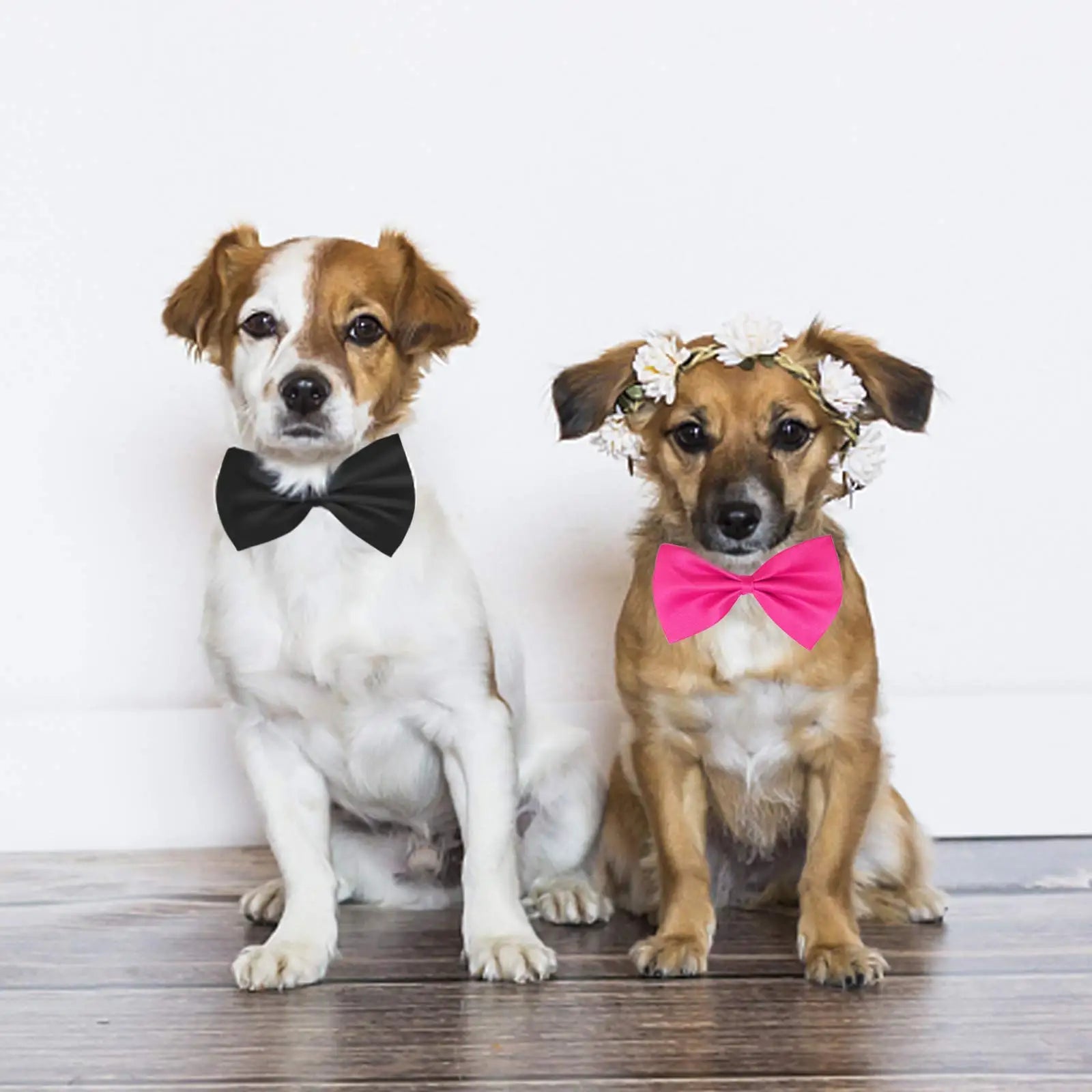 50pcs Dog Bows Mix Colors Wholesale Pet Grooming Accessories Rabbit Cat Dog Bow Tie Adjustable Bowtie Pet Products