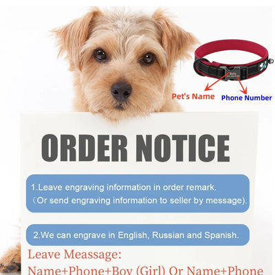 Adjustable Mesh Padded Pet Dog Collar Custom ID Engraving Reflective Nylon Dog Collar Durable Heavy Duty for All Breed All Pug
