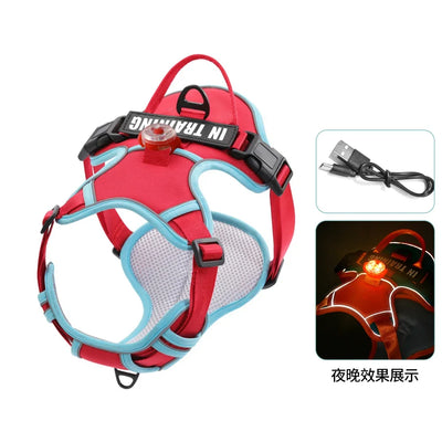 USB charged light Dog Harness Personalized dog strap vest Breathable adjustable pet strap suitable for small to medium sized dog