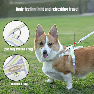 Dog Harness Collar Accessories Small Pet Neck Belt Lead Leash for Small  Dogs Collars  Breast Strap Puppy Adjustable Walking
