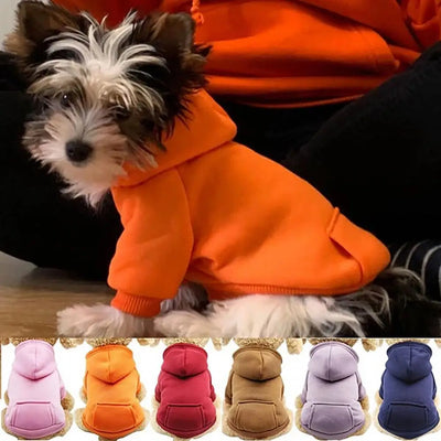 Puppy Hoodie Autumn Winter Pet Hooded Sweatshirt Two-legged Pocket Cat Dog Clothes