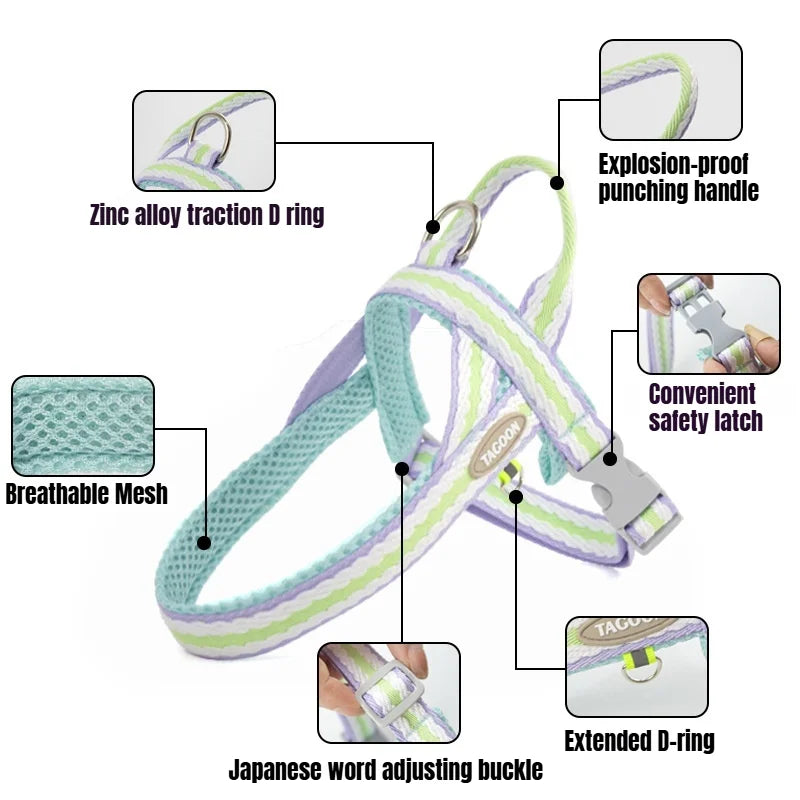 Dog Harness Collar Accessories Small Pet Neck Belt Lead Leash for Small  Dogs Collars  Breast Strap Puppy Adjustable Walking