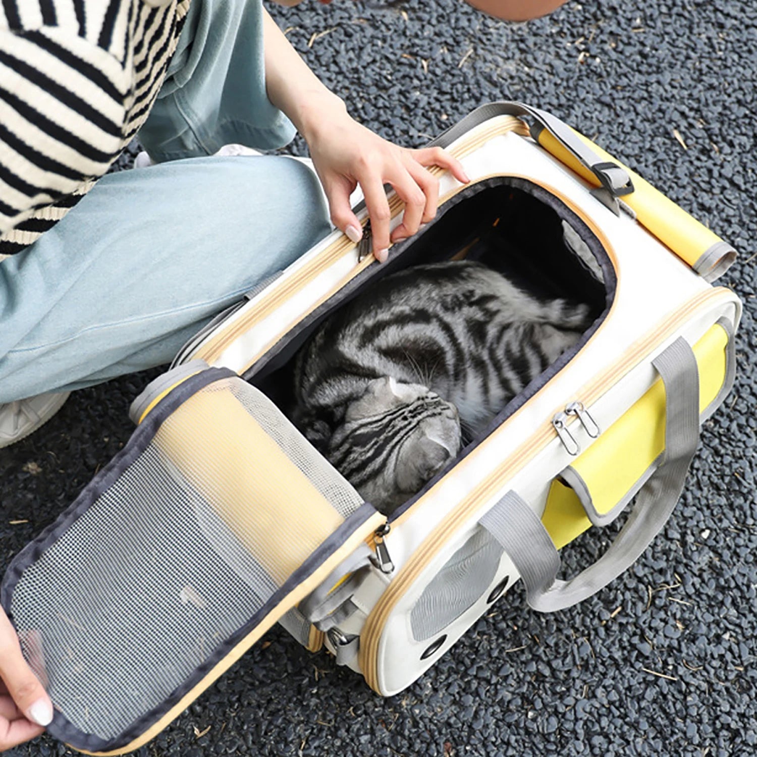 Foldable Airline Approved Pet Carrier Bag for Small Dogs Cats Rabbits Puppies - Durable Oxford Fabric Travel Tote with Ventilati