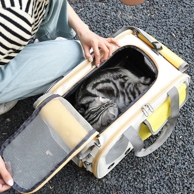 Foldable Airline Approved Pet Carrier Bag for Small Dogs Cats Rabbits Puppies - Durable Oxford Fabric Travel Tote with Ventilati