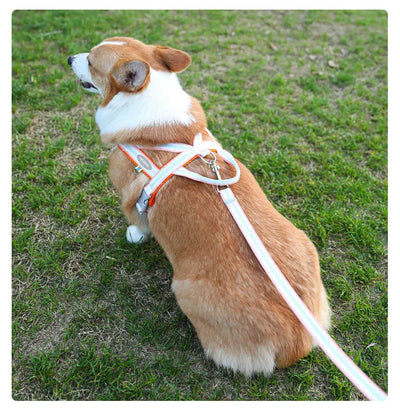 Dog Harness Collar Accessories Small Pet Neck Belt Lead Leash for Small  Dogs Collars  Breast Strap Puppy Adjustable Walking
