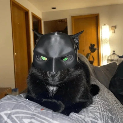 Cat Avenger Mask Bat Halloween 3D Printed Cosplay Hat Cat  Funny Toys Photos Props Pet Accessories