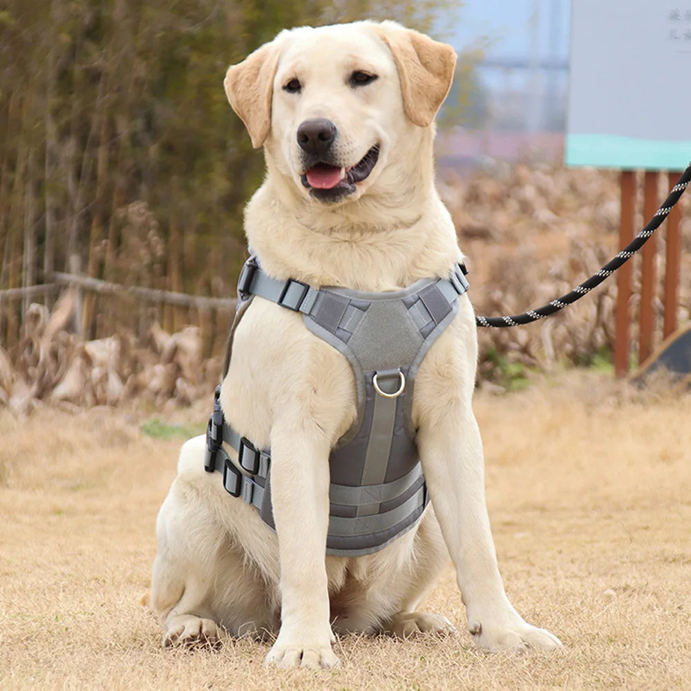 Custom Dog Harness Personalized Tactical Vest DIY Name Pet Harness for Medium Large Big Dog Chest Strap