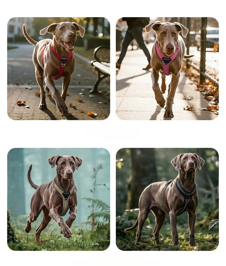 Dog Leash Anti-Pull Pet Harness Comfortable Outdoor Dog Leash Reflective Dog Harness Durable and Stain-Resistant