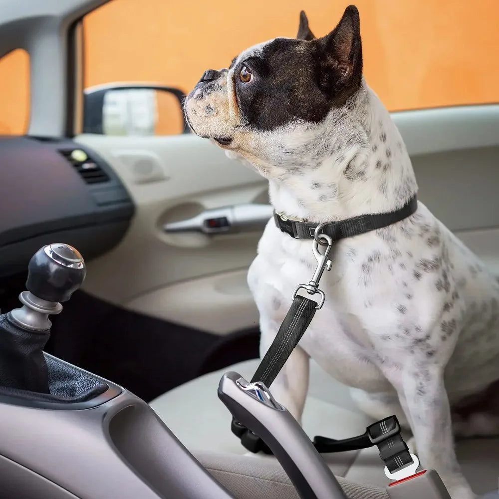 Elastic Nylon Dog Seat Belt for Small Large Dogs Adjustable Reflective Durable Lead Puppy Travel Car Safety Rope Dog Harness