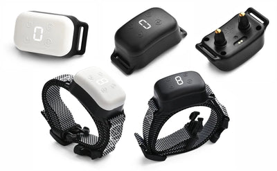Small Dog Auto Bark Collar, Rechargeable Dog Electric Collar Anti-Bark Control for Puppy with Shock Mode