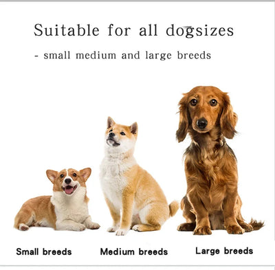 Adjustable Mesh Padded Pet Dog Collar Custom ID Engraving Reflective Nylon Dog Collar Durable Heavy Duty for All Breed All Pug