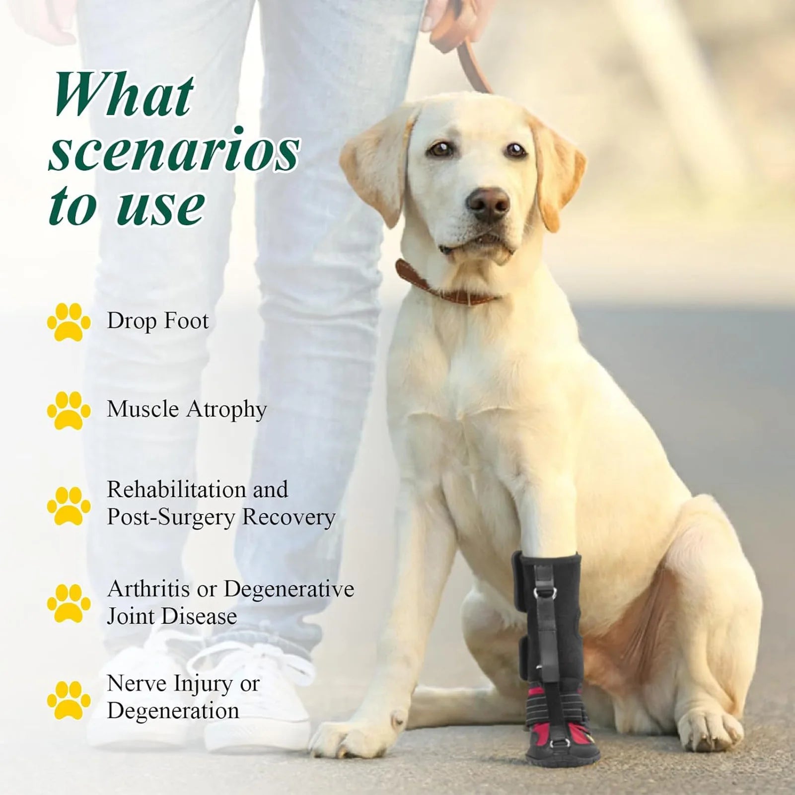 Drops Foot Brace No Knuckling Boot Brace For Dog Corrective Dog Shoes To Safely Lift Toes Hard Anti-Skid Sole Paw Protection