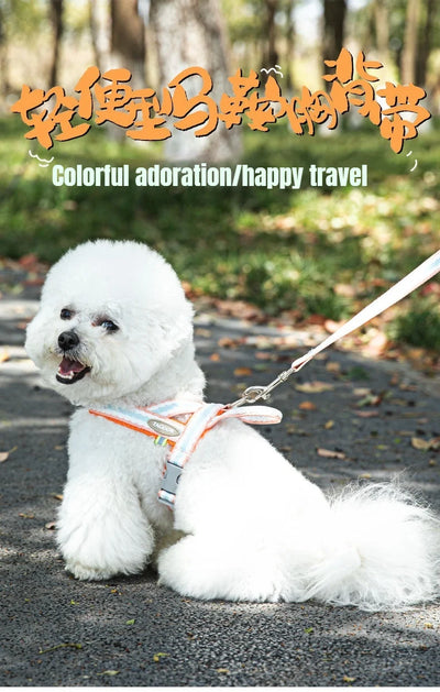 Dog Harness Collar Accessories Small Pet Neck Belt Lead Leash for Small  Dogs Collars  Breast Strap Puppy Adjustable Walking
