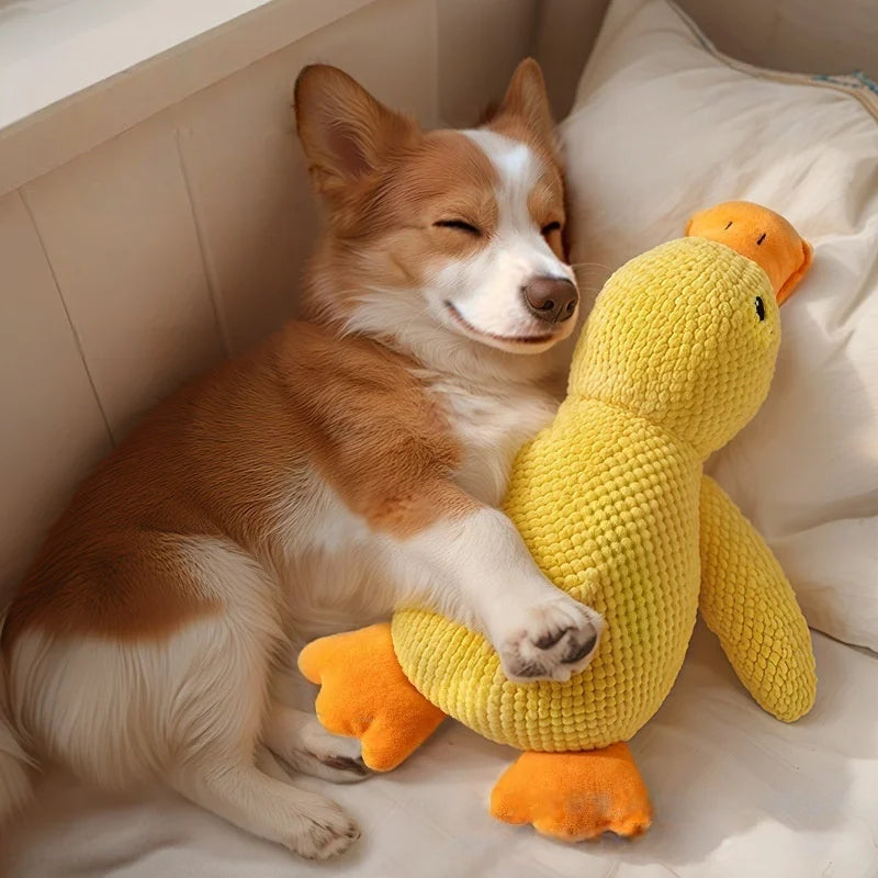Duck Dog Toy Plush Chew Resistant Durable with Quacking Sound Teeth Grinding Relief Soft Companion for Small Large Dogs