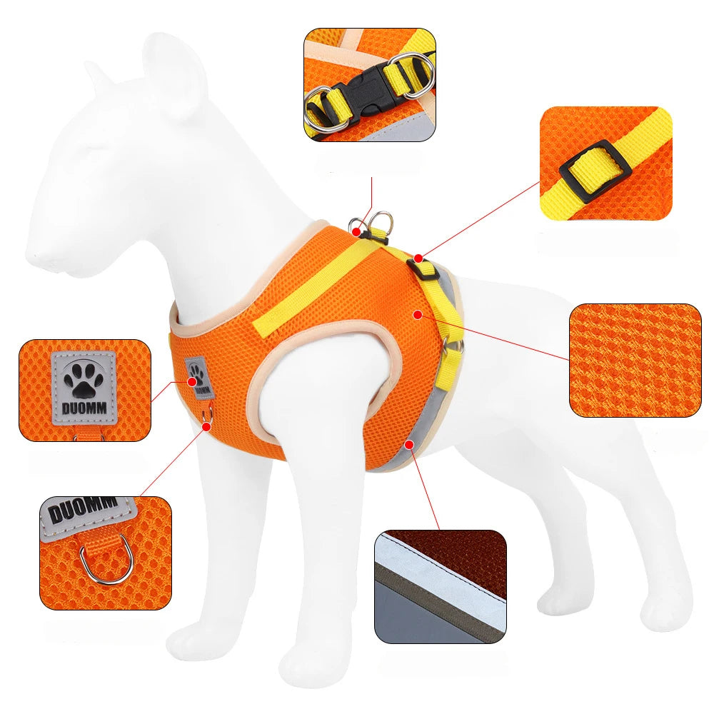 Puppy Dog Harness Leash Rope Set Breathable Summer Mesh Cat Dogs Harness Vest Reflective Pet Cat Chest Straps Chihuahua Yorkies