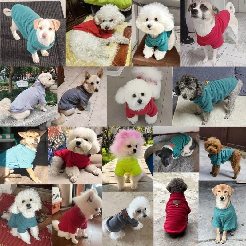 Winter Warm Dog Clothes for Small Dogs Fashion Dog Hoodies Cute Solid Puppy Sweatshirt Soft Cat Pullovers Chihuahua Pet Hoodies