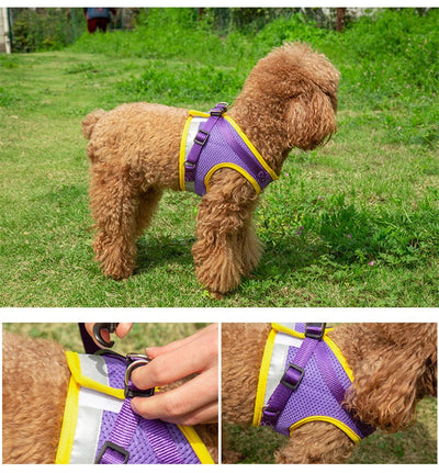 Puppy Dog Harness Leash Rope Set Breathable Summer Mesh Cat Dogs Harness Vest Reflective Pet Cat Chest Straps Chihuahua Yorkies