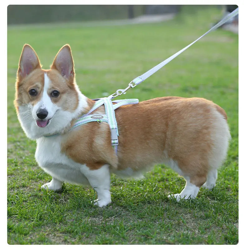 Dog Harness Collar Accessories Small Pet Neck Belt Lead Leash for Small  Dogs Collars  Breast Strap Puppy Adjustable Walking
