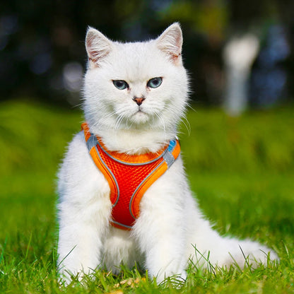 Cat Dog Harness Vest Chest Rope Set Reflective Breathable Adjustable Pet Harness for Small Medium Dogs Outdoor Walking PawPrint Treasures