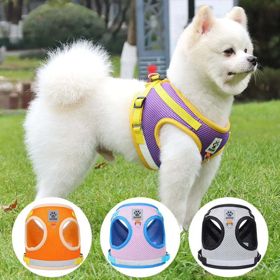 Puppy Dog Harness Leash Rope Set Breathable Summer Mesh Cat Dogs Harness Vest Reflective Pet Cat Chest Straps Chihuahua Yorkies