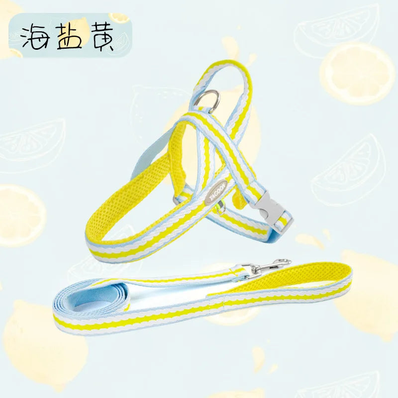 Dog Harness Collar Accessories Small Pet Neck Belt Lead Leash for Small  Dogs Collars  Breast Strap Puppy Adjustable Walking