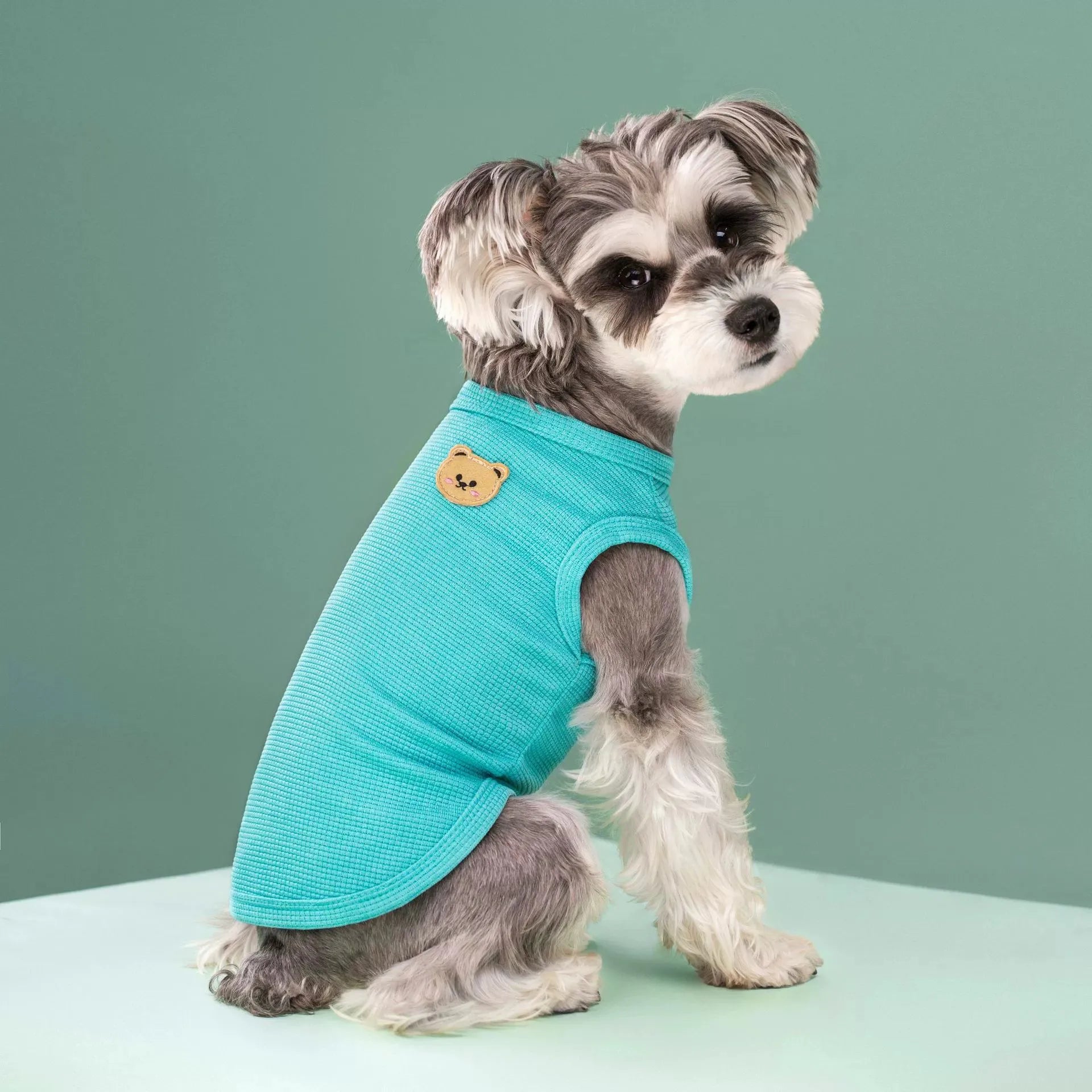 NewSpring Summer Pet Clothes for Cats Dogs Breathable Waffle Vest, Soft & Light, Perfect for Teddy Bichon Frise Small Medium Dog