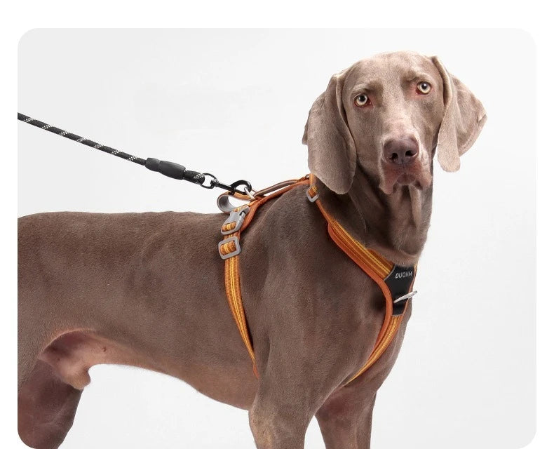 Dog Leash Anti-Pull Pet Harness Comfortable Outdoor Dog Leash Reflective Dog Harness Durable and Stain-Resistant