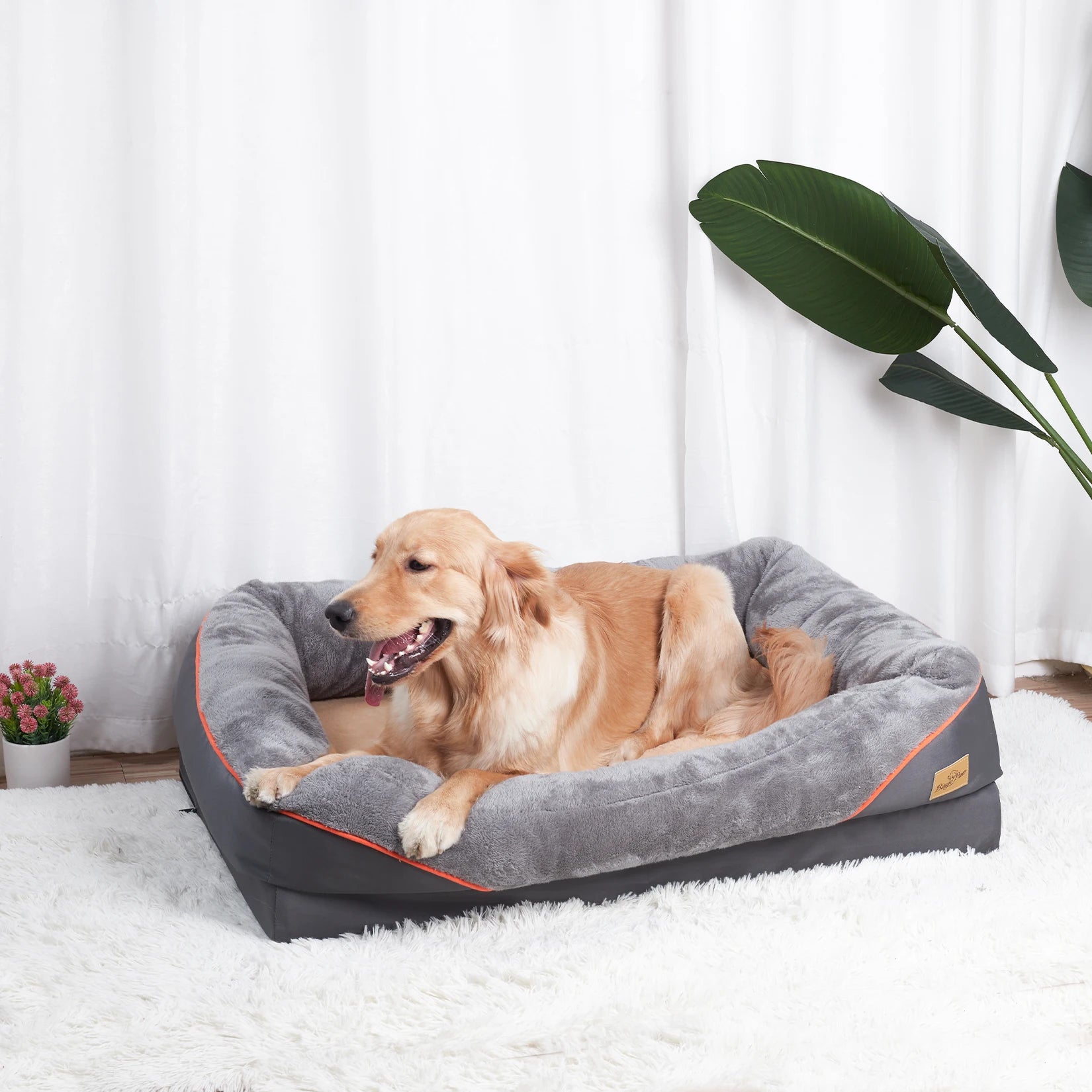Large Dog Bed Soft Comfortable Warm Fleece Anti-Allergy Pet Bed with Removable Washable Cover Waterproof