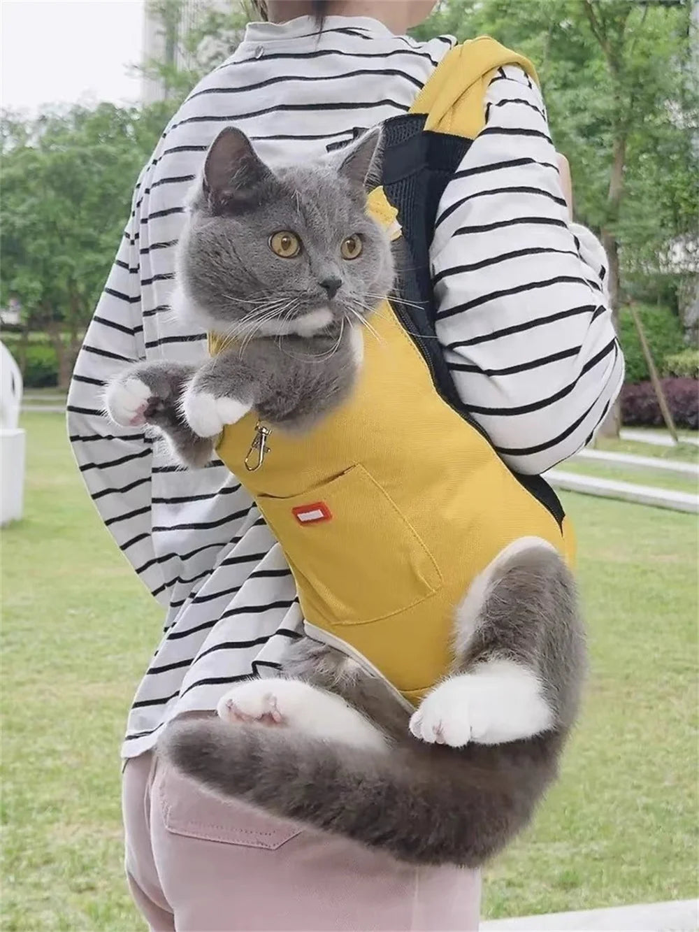 Cycling Walking Sphynx Cat Carrier for Cats Breathable Pet Backpacks Kitten Garfield Carrying Bags Mascotas Travel Accessories