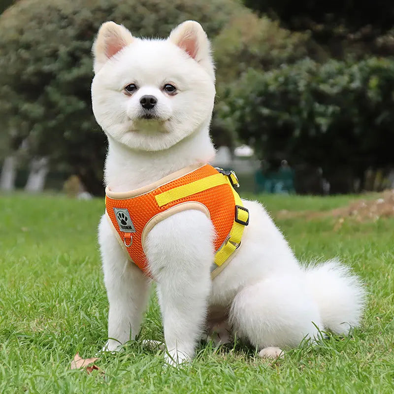 Puppy Dog Harness Leash Rope Set Breathable Summer Mesh Cat Dogs Harness Vest Reflective Pet Cat Chest Straps Chihuahua Yorkies