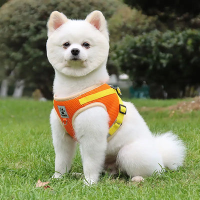 Puppy Dog Harness Leash Rope Set Breathable Summer Mesh Cat Dogs Harness Vest Reflective Pet Cat Chest Straps Chihuahua Yorkies