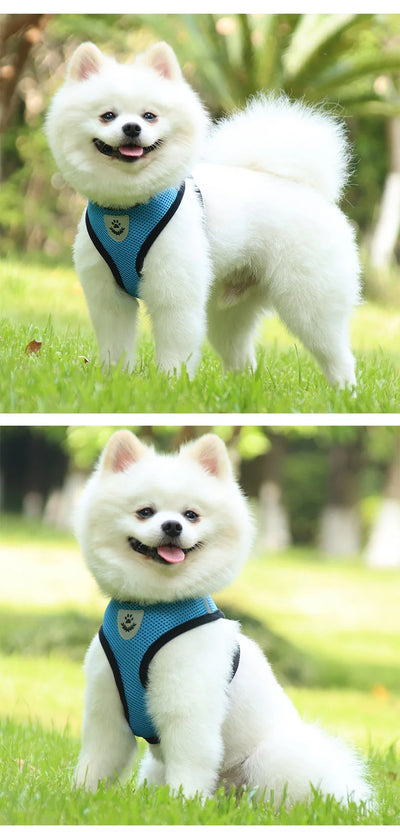 Small Dog Harness and Leash Set Summer Puppy Breathable Mesh Reflective Cat No Pull  Dog Reflective  Adjustable Pet Vest Style